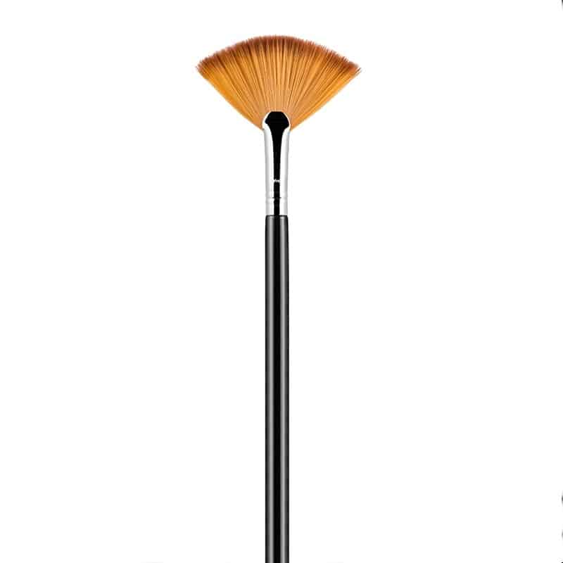 copic_pahljacasti_0 copic pahljacasti 0